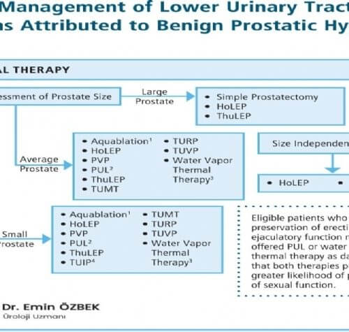 BPH (iyi Huylu Prostat Büyümesi) Tedavisinde Ameliyat (Cerrahi) Yöntemleri