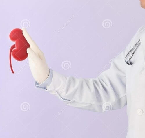 Üroloji Check up ve Ürolojik Muayene