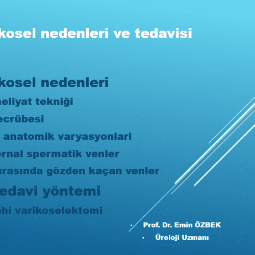 Nüks Varikosel Nedenleri ve Ameliyatı | Prof.Dr. Emin ÖZBEK