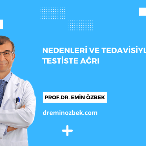 Nedenleri ve Tedavisiyle Testiste Ağrı