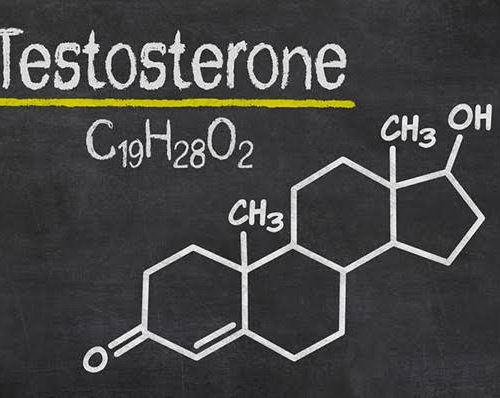 Testosteron Hormonu