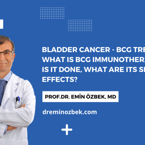 Bladder Cancer - BCG Treatment What is BCG Immunotherapy, How is it Done, What Are its Side Effects