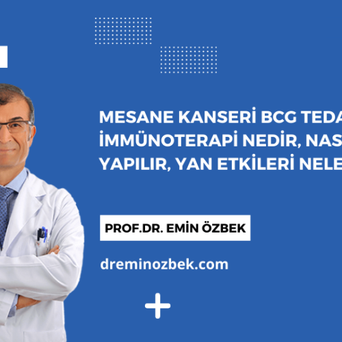 Mesane Kanseri BCG Tedavisi BCG İmmünoterapi Nedir, Nasıl Yapılır, Yan Etkileri Nelerdir