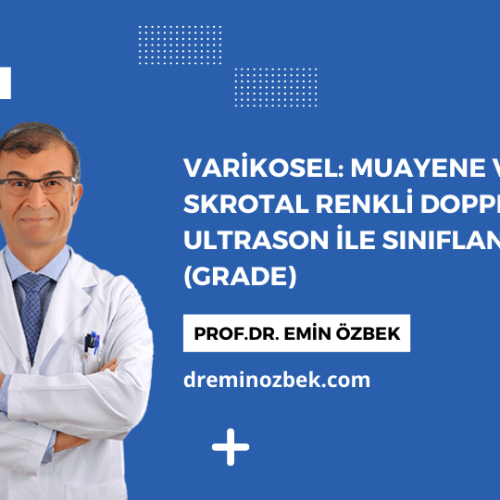 Varikosel Muayene ve Skrotal Renkli Doppler Ultrason ile Sınıflandırma (Grade) Varikosel Muayene ve Skrotal Renkli Doppler Ultrason ile Sınıflandırma (Grade)
