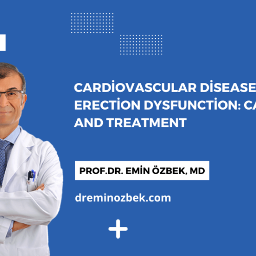 Cardiovascular Diseases and Erection Dysfunction Causes and Treatment