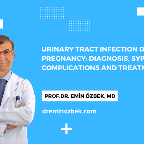 Urinary Tract Infection During Pregnancy: Diagnosis, Sypmtoms, Complications and Treatment