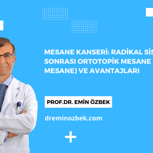 Mesane Kanseri Radikal Sistektomi Sonrası Ortotopik Mesane (Yapay Mesane) ve Avantajları