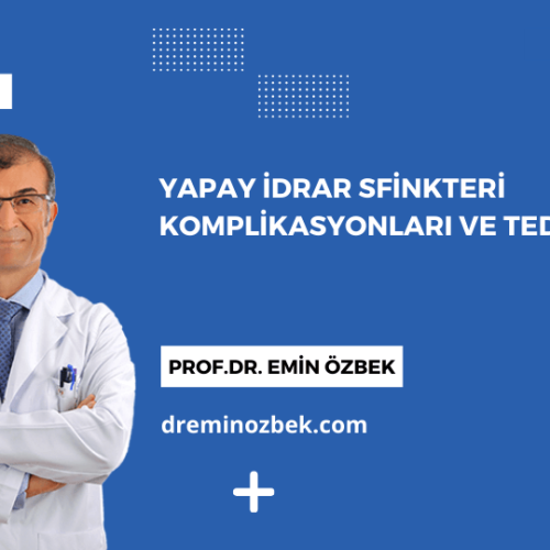 Yapay İdrar Sfinkteri Komplikasyonları ve Tedavisi