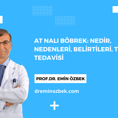 At Nalı Böbrek