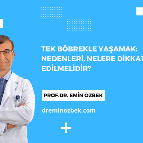 Tek Böbrekle Yaşamak: Nedenleri, Nelere Dikkat Edilmelidir?