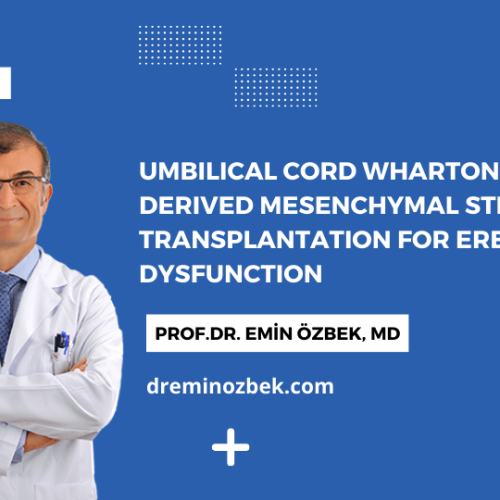 Umbilical Cord Wharton's Jelly-Derived Mesenchymal Stem Cell Transplantation for Erectile Dysfunction