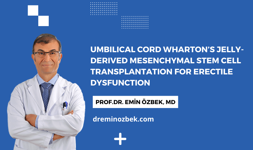 Umbilical Cord Wharton's Jelly-Derived Mesenchymal Stem Cell Transplantation for Erectile Dysfunction