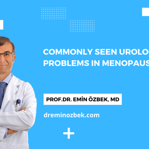 Commonly Seen Urologic Problems in Menopause