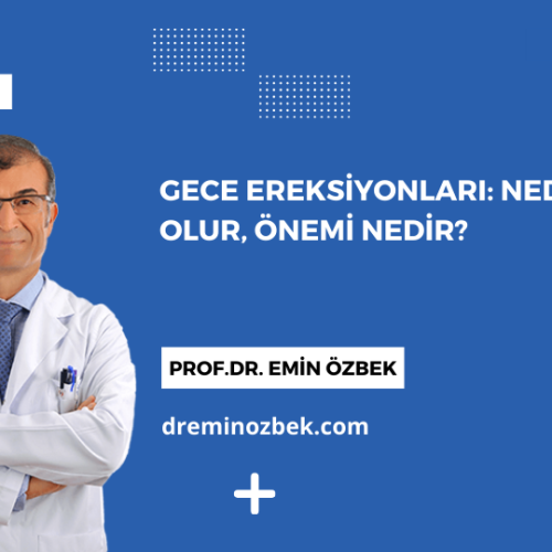 Gece Ereksiyonları