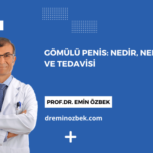 Gömülü Penis Nedir, Nedenleri ve Tedavisi