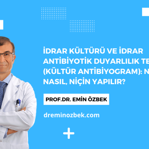 İdrar Kültürü ve İdrar Antibiyotik Duyarlılık Testi (Kültür Antibiyogram): Nedir, Nasıl, Niçin Yapılır?