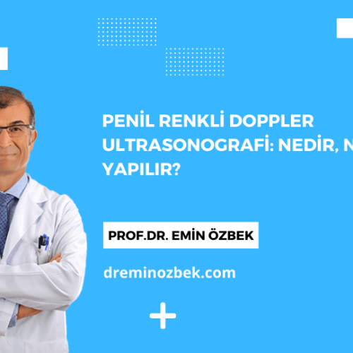 Penil Renkli Doppler Ultrasonografi