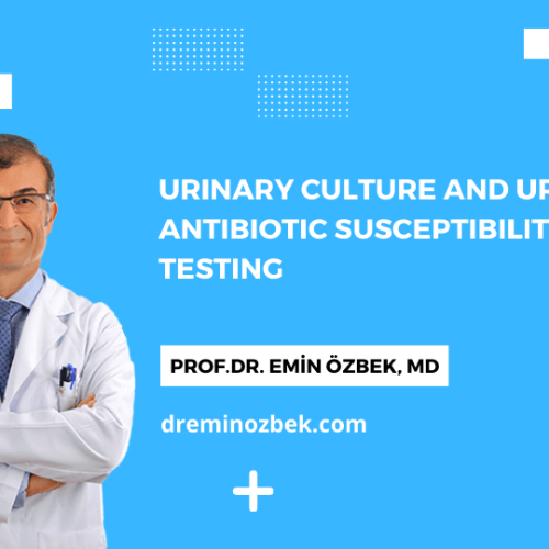 Urinary Culture and Urinary Antibiotic Susceptibility Testing