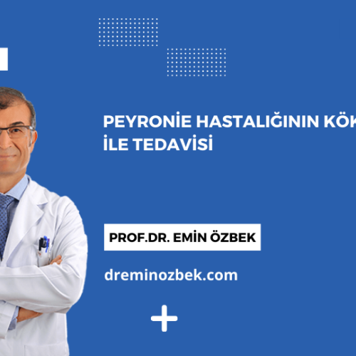 Peyronie Hastalığının Kök Hücre ile Tedavisi