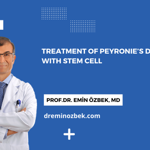 Treatment of Peyronie's Disease with Stem Cell