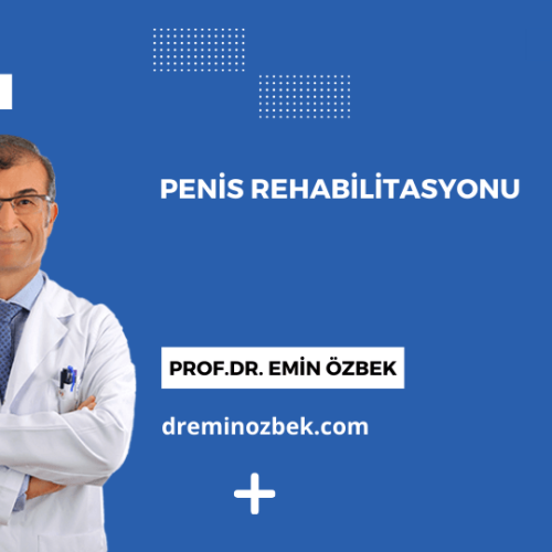Penis Rehabilitasyonu