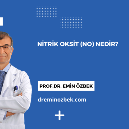 Nitrik Oksit (NO) Nedir?