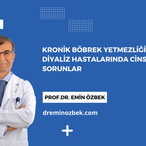 Kronik Böbrek Yetmezliği ve Diyaliz Hastalarında Cinsel Sorunlar