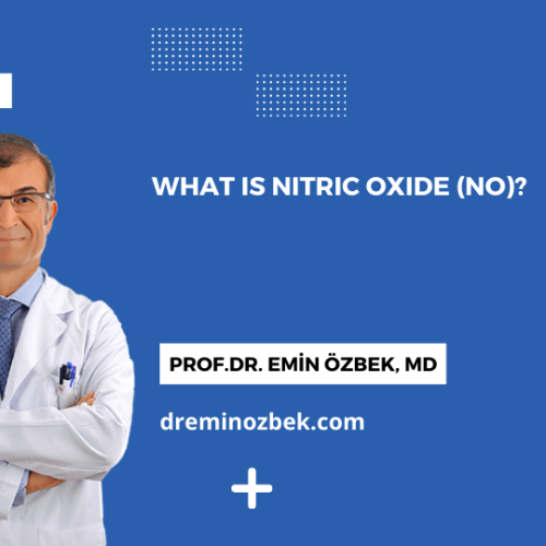 What is Nitric Oxide (NO)?