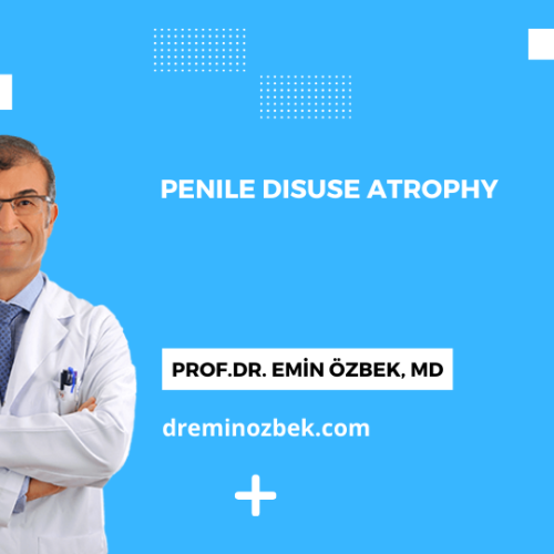 Penile Disuse Atrophy