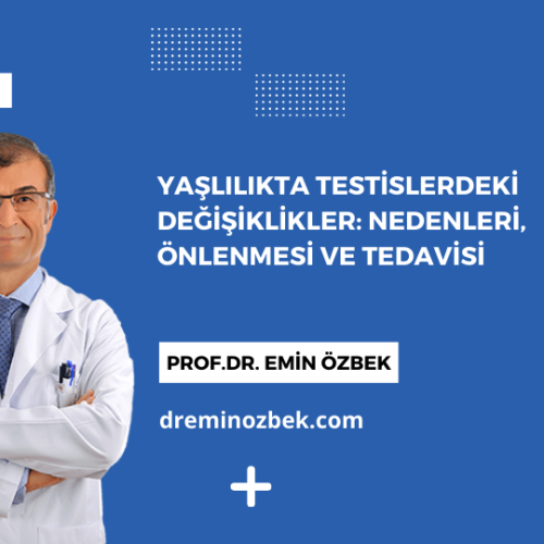Yaşlılıkta Testislerdeki Değişiklikler: Nedenleri, Önlenmesi ve Tedavisi