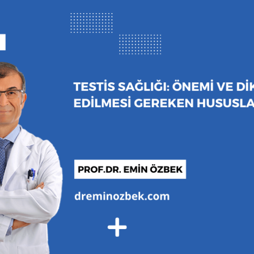 Testis Sağlığı: Önemi ve Dikkat Edilmesi Gereken Hususlar