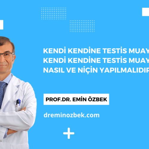 Kendi Kendine Testis Muayenesi: Kendi Kendine Testis Muayenesi Nasıl ve Niçin Yapılmalıdır?