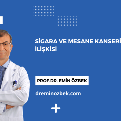 Sigara ve Mesane Kanseri ile İlişkisi