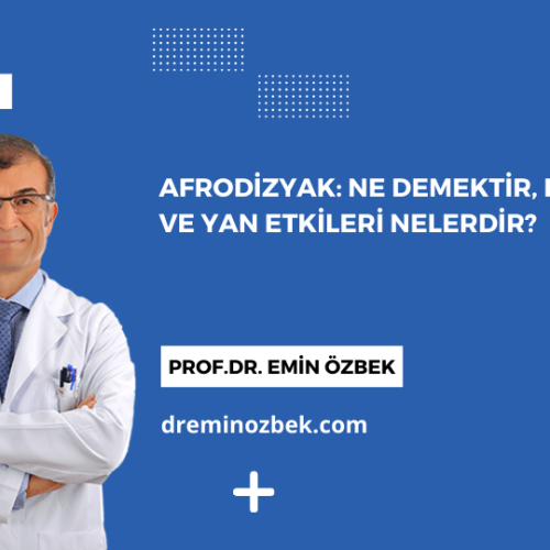 Afrodizyak: Ne Demektir, Etkileri ve Yan Etkileri Nelerdir?