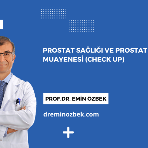 Prostat Sağlığı ve Prostat Muayenesi (Check Up)