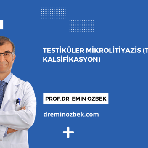 Testiküler Mikrolitiyazis (Testiste Kalsifikasyon)