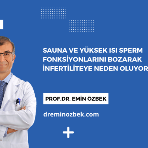 Sauna ve Yüksek Isı Sperm Fonksiyonlarını Bozarak İnfertiliteye Neden Oluyor!