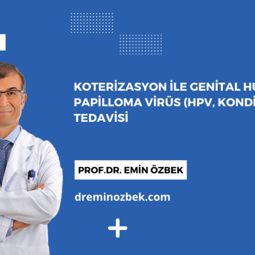 Koterizasyon ile Genital Human Papilloma Virüs (HPV, Kondilom) Tedavisi