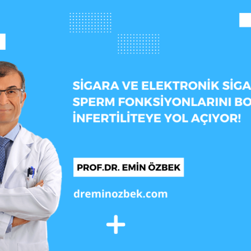 Sigara ve Elektronik Sigaran Sperm Fonksiyonlarını Bozarak İnfertiliteye Yol Açıyor!