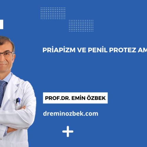 Priapizm ve Penil Protez Ameliyatı