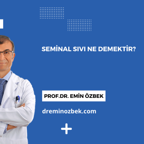 Seminal Sıvı Ne Demektir?