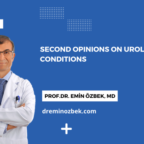 Second Opinions on Urological Conditions