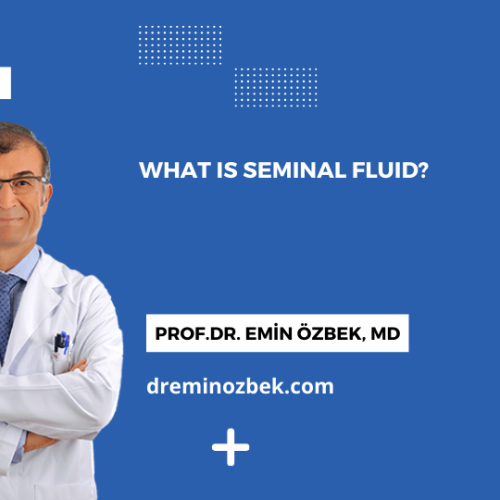 What is Seminal Fluid?