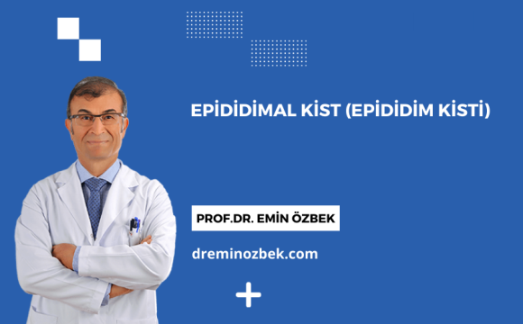 Epididimal Kist (Epididim Kisti)