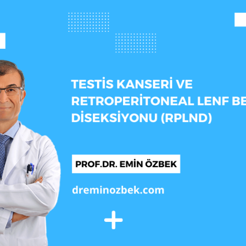 Testis Kanseri ve Retroperitoneal Lenf Bezi Diseksiyonu (RPLND)