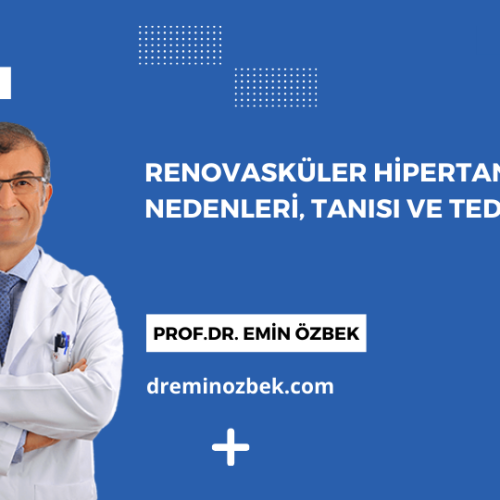 Renovasküler Hipertansiyon: Nedenleri, Tanısı ve Tedavisi