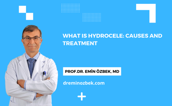 What is Hydrocele: Causes and Treatment