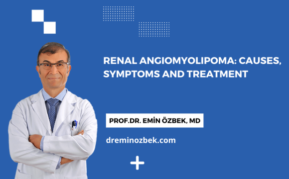 Renal Angiomyolipoma: Causes, Symptoms and Treatment