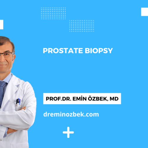 Prostate Biopsy