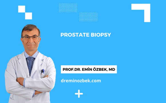 Prostate Biopsy